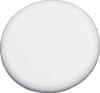 Picture of Teflon® 1/4" Disk